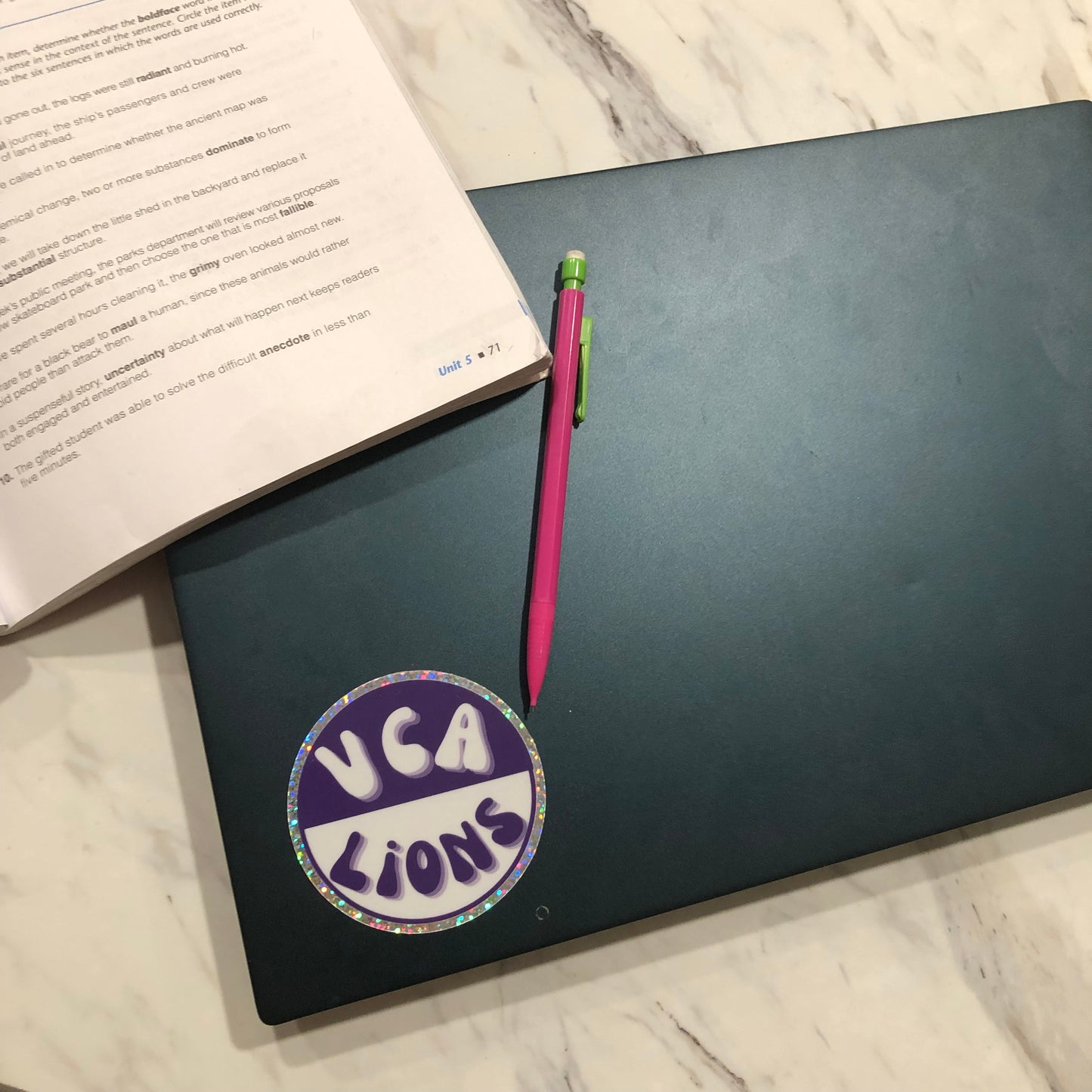 VCA Lions sticker